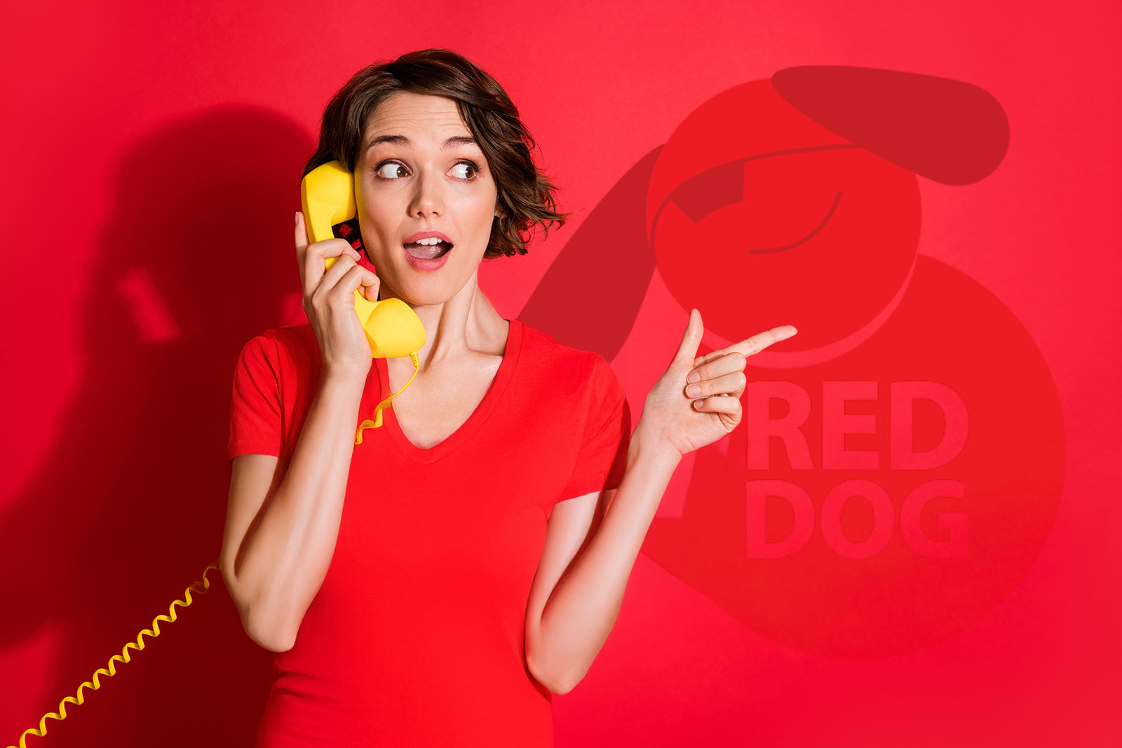 logo red dog pet food